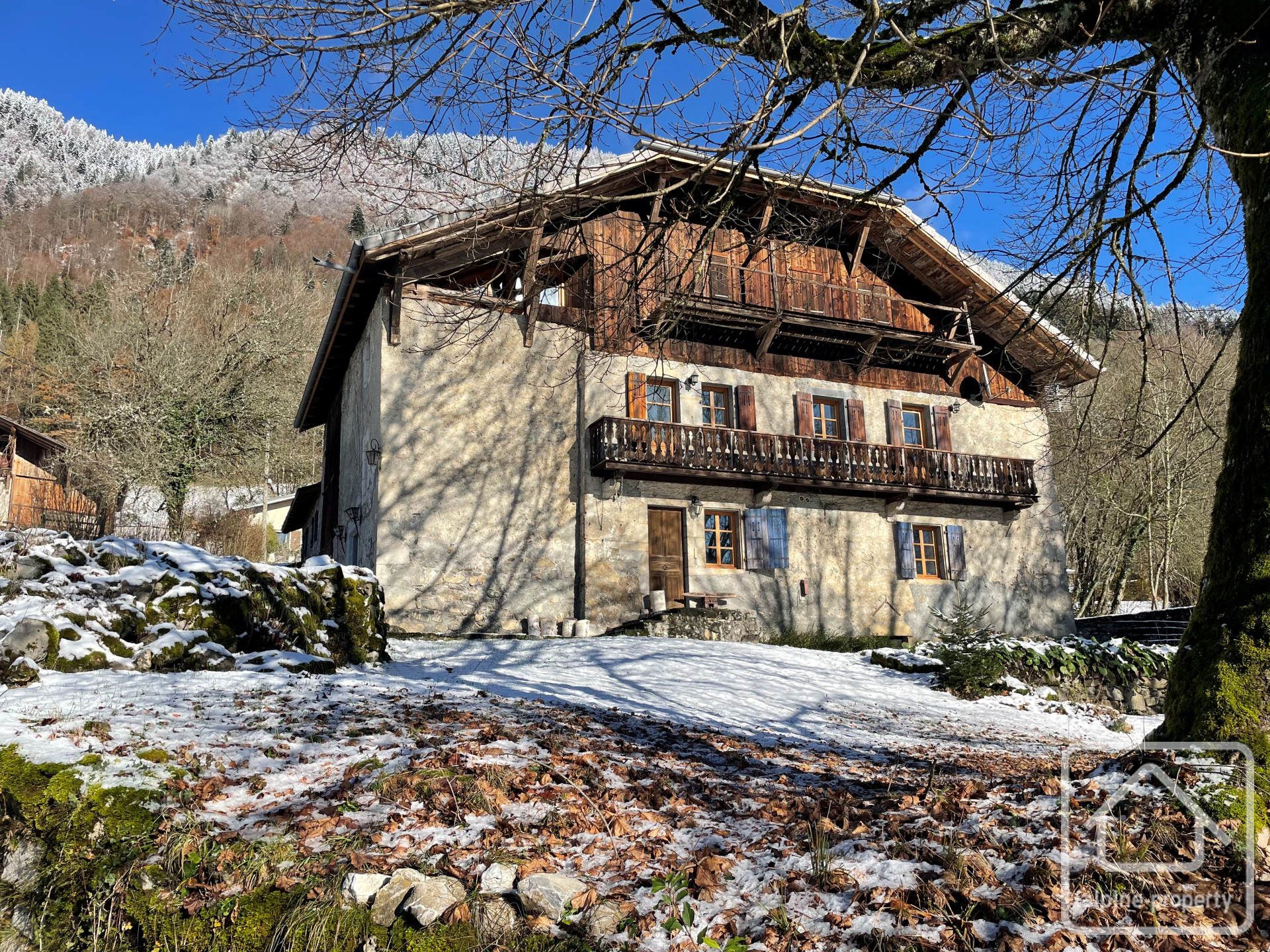 alpine-property.fr