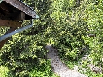 Appt. Aiguillette - 