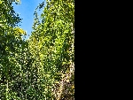 Chalet Alpage Chevenoz - 