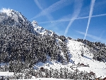Appt. Ferme de Jules A11 - 