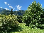 Appt. La Ferme - 