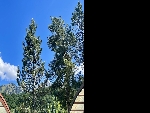 Appt. Plein Soleil - 