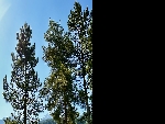 Appt. Plein Soleil - 