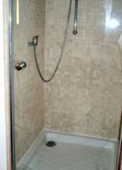 Apartment Bas  Thex - (fr)The shower