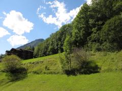 Appt. Edelweiss 15 - 
