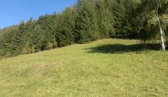 Chalet de Blanche Neige - Le terrain