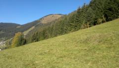Chalet de Blanche Neige - Le terrain et la vue