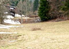 Land du Buissons - (fr)The land itself