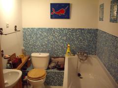 Appt. Le Capieau - Salle de bains