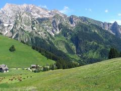 Appt. Le Capieau - Vue panoramique en été (2)