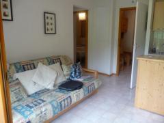 Appt. Le Grand Cerf #47 - (fr)The living room