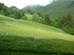Appt. Le Grand Cerf #47 - (fr)Views of the piste from the balcony