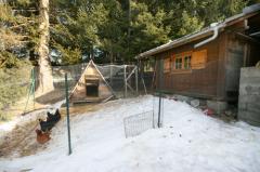 Chalet Cerro - Le poulailler