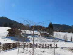 Chalet Alma - Vue en hiver