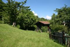 Chalet Amica - Le jardin