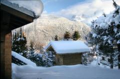 Chalet Chouette - Le mazot et la vue de Mont Blanc
