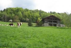 Chalet La Colombine - L