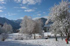 Chalet des Etoiles - Le jardin en hiver