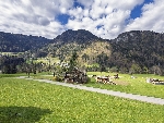 Chalet La Pierre - 