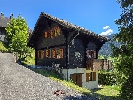 Chalet Le Boreal - 