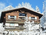 Chalet Le Grand Cerf - 