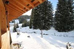 Chalet Manant - 
