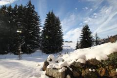 Chalet Manant - 