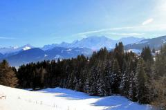 Chalet Mont Blanc - Vue, salon