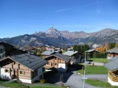 Chalet Oursons - Vue 2