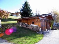 Chalet Oursons - Le garage double