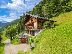 Chalet Petit Châtel - 