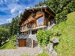 Chalet Petit Châtel - 