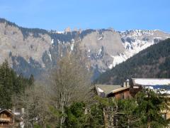 Chalet Les Putheys - 