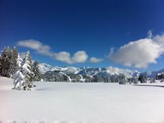Appt. Les Chalets des Frasses, B3 - Vue, Espace Diamant