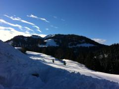 Appt. Les Chalets des Frasses, B3 - Vue est