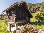 Chalet Sylvie - 