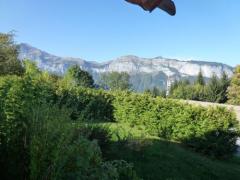 Chalet Virage - La vue depuis le jardin