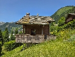 Chalet Vonnes - 