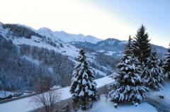 Chalet Chamois - Vue, hiver