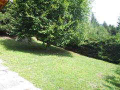 Chalet Croc Blanc - Le jardin