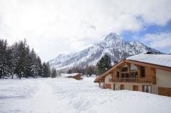 Demi-Chalet Pixo - L