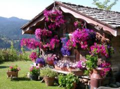 Chalet L