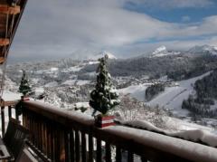 Chalet L