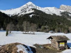 Ferme Erigné - 