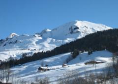 Demi Chalet La Cascade - (fr)View of the pistes