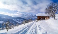 Ferme de Manigod - 