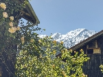 Ferme de Manon - 