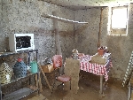 Ferme La Lanche - 