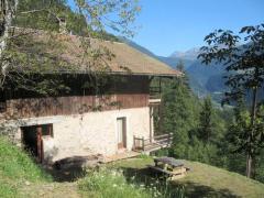 Ferme Sapin - Ferme Sapin