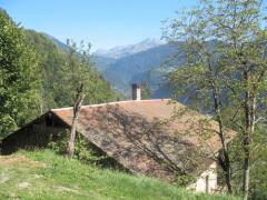 Ferme Sapin - La ferme et ses environs